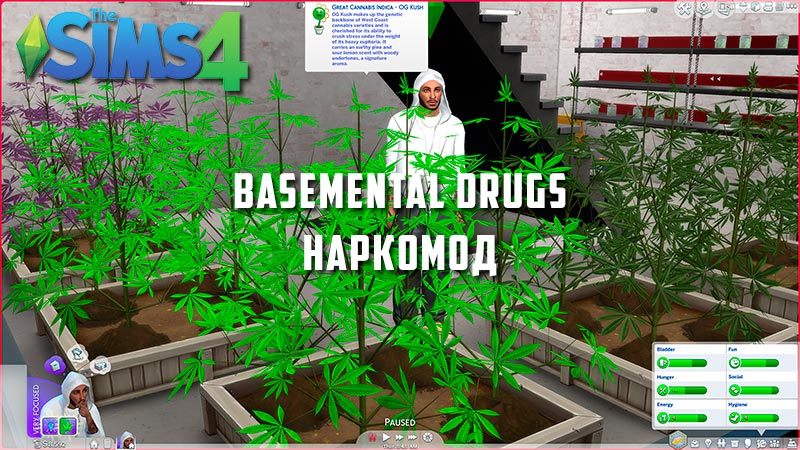Basemental Drugs - в Симс 4 есть наркотики. Скачать Мод на ...
